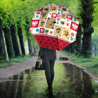 Poland Umbrella Pierogi Tysiac 1000