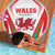 Welsh Rugby Beach Blanket Wales Red Dragon Champions