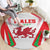 Welsh Rugby Round Carpet Wales Red Dragon Champions