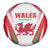 Welsh Rugby Spare Tire Cover Wales Red Dragon Champions