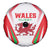 Welsh Rugby Spare Tire Cover Wales Red Dragon Champions