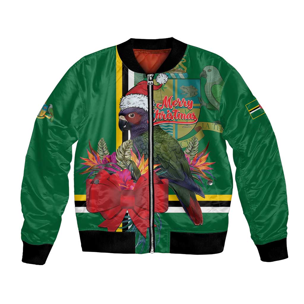 Green bomber jacket with parrot print, festive border stripes, Merry Christmas text.