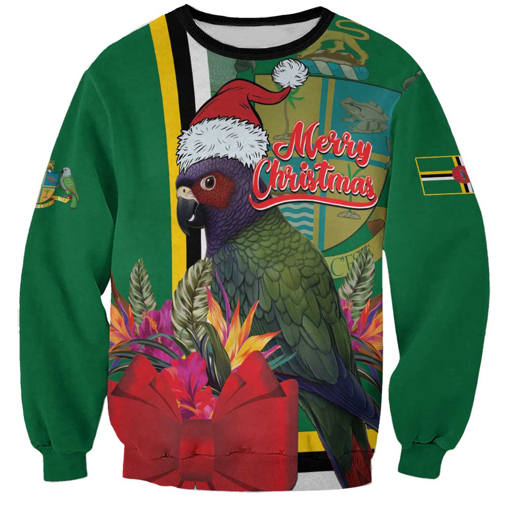 Green sweatshirt with colorful parrot and Merry Christmas graphic, gift box and garland