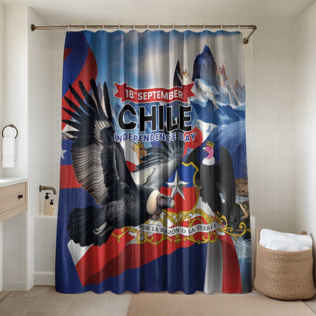 Chile Independence Day 18th September Bathroom Set Andean Condor Flying - Wonder Print Shop