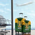 Personalised South Africa Rugby Luggage Cover Springbok Mascot History Champion World Rugby 2023 - Wonder Print Shop