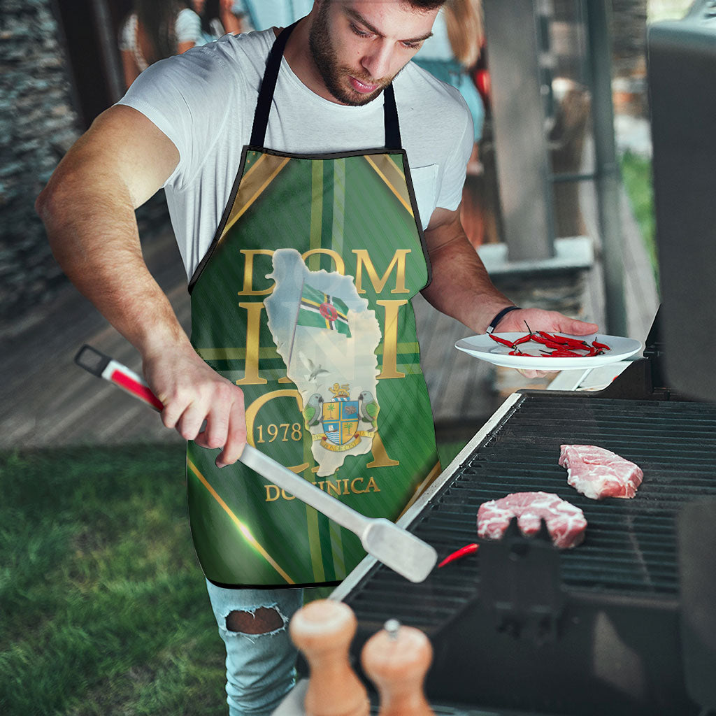 Dominica Independence Day Apron 47 Years Of Freedom - Wonder Print Shop