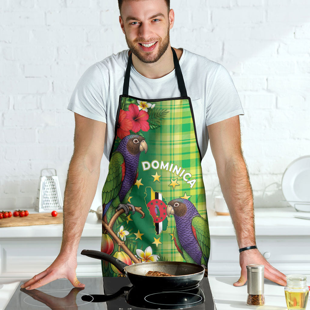 Dominica Independence Day Apron Sisserou Parrot Madras Pattern
