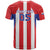 Custom Paraguay Star Football T Shirt Go Albirroja