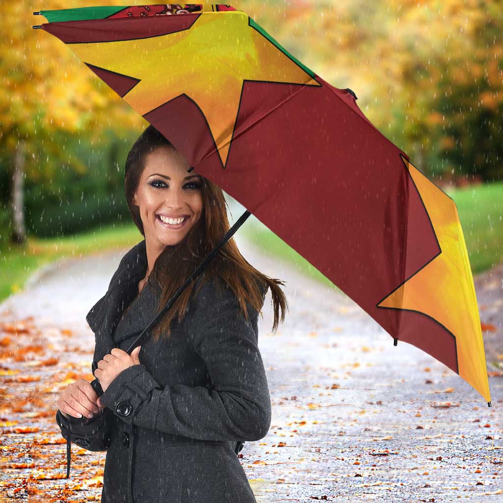 Close view open umbrella canopy in red, green, and yellow with star and crest