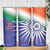 India Cricket Custom Skinny Tumbler Ashoka Chakra with Flag Style