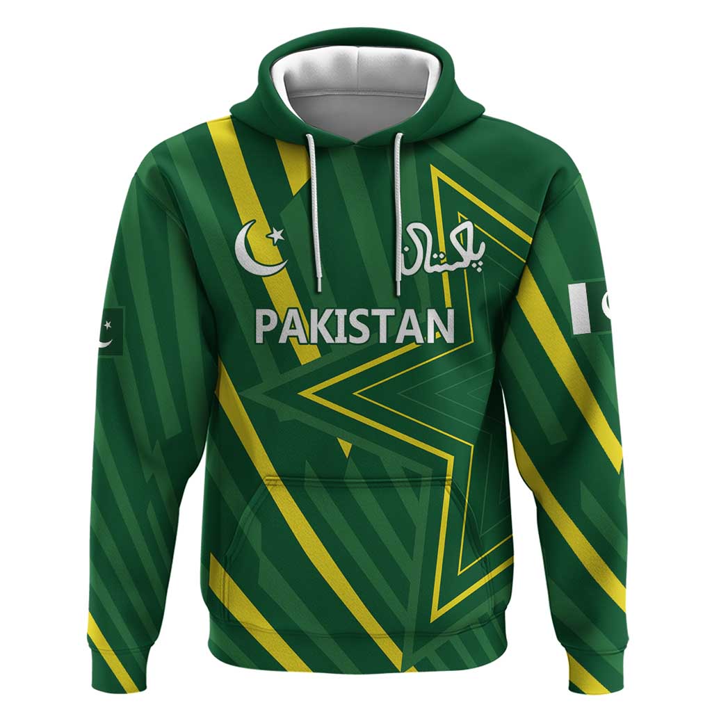 Pakistan Cricket Custom Hoodie Shaheen Falcon Go Champions - Wonder Print Shop