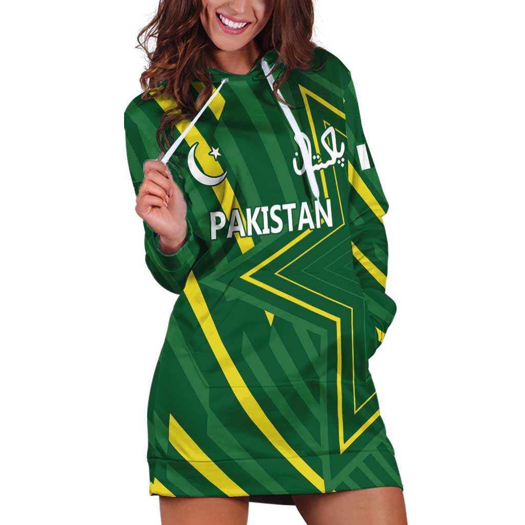 Pakistan Cricket Custom Hoodie Dress Shaheen Falcon Go Champions - Wonder Print Shop