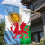 Wales Argentina Rugby Garden Flag The Welsh Dragon and Sol De Mayo World Cup 2023 - Wonder Print Shop