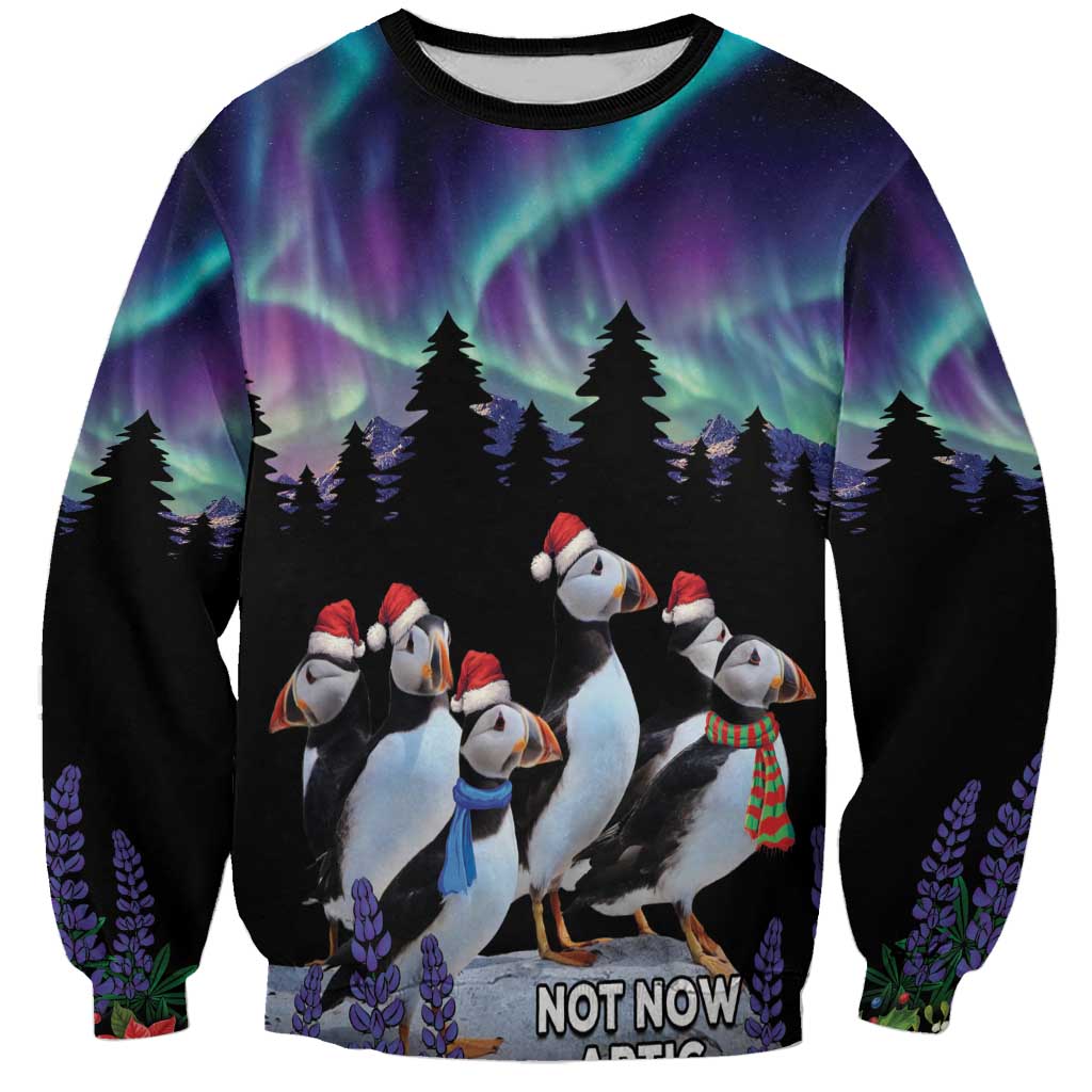 Unisex black sweatshirt with aurora night print, arctic penguins, and 'NOT NOW ARCTIC' text