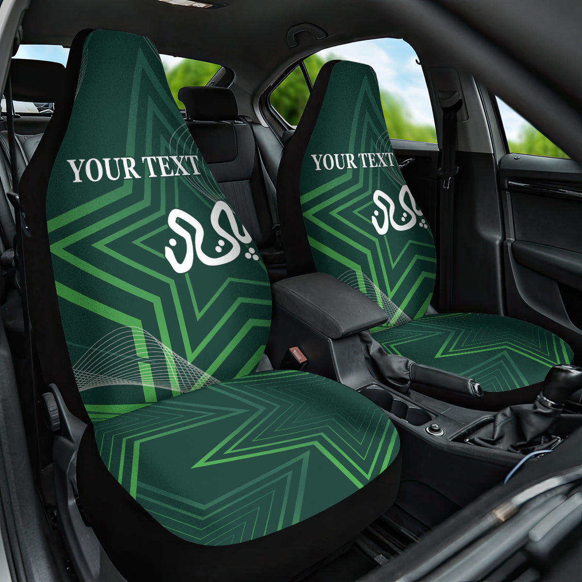 Pakistan Cricket World Cup 2024 Car Seat Cover Shaheens Make Champions LT9 - Wonder Print Shop