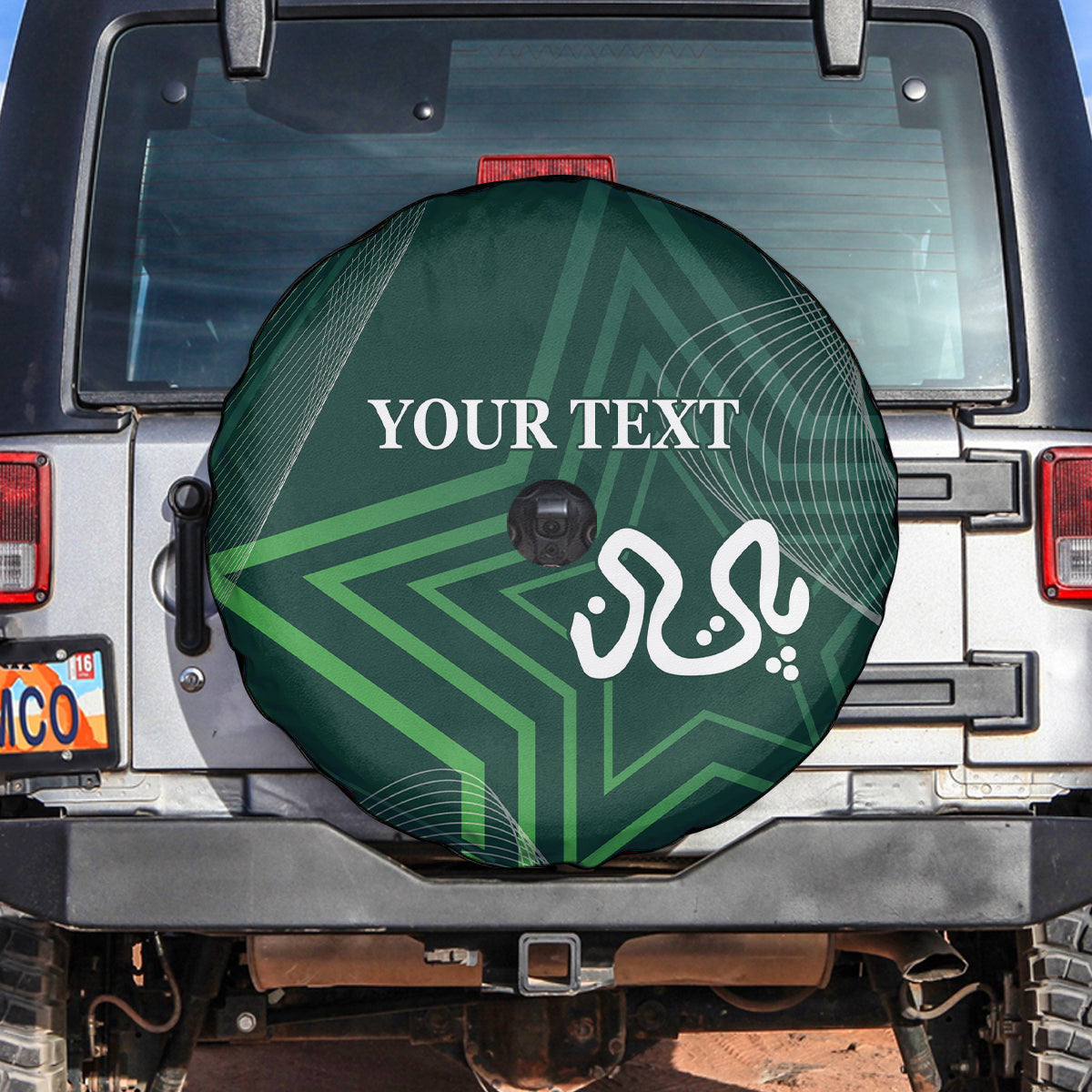 Pakistan Cricket World Cup 2024 Spare Tire Cover Shaheens Make Champions