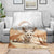 Fennec Fox Algeria Blanket Algerian Sahara