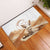 Fennec Fox Algeria Rubber Doormat Algerian Sahara - Wonder Print Shop