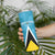 Custom Saint Lucia Football Skinny Tumbler Flag Style