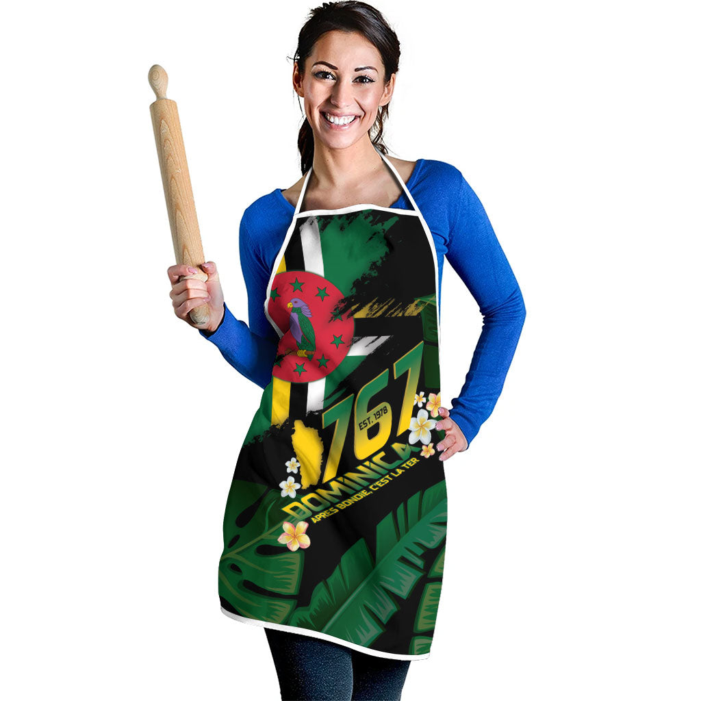 Dominica Independence Day Apron Waitukubuli 767 Flag Tropical Vibes
