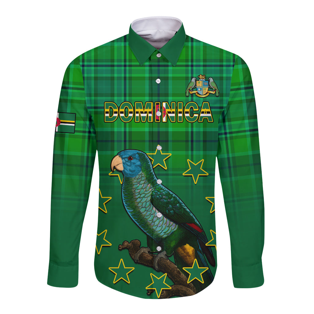 Green long-sleeve button shirt with green plaid, parrot and stars graphic