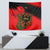 albania-flag-day-tapestry-albanian-coat-of-arms-with-red-poppy