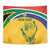 Custom South Africa Cricket Tapestry Go Champions World Cup Proteas - Wonder Print Shop