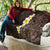 brown-polynesia-quilt-plumeria-tropical-leaves-with-galaxy-polynesian-art