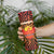 Custom South Africa Eastern Cape Cricket Skinny Tumbler Go Sunrisers