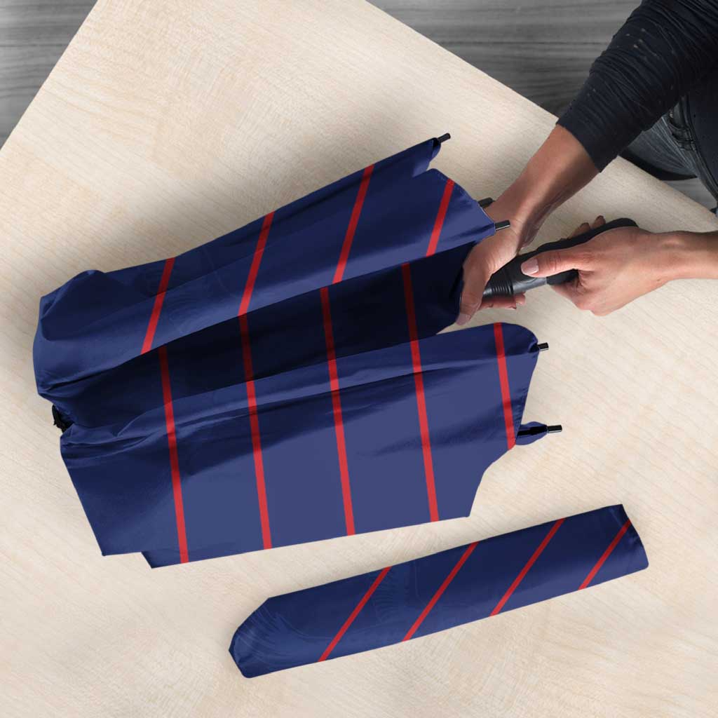Namibia Cricket Umbrella Go Eagles Go - Wonder Print Shop