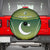 Custom Pakistan Cricket Spare Tire Cover Go Shaheens