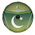 Custom Pakistan Cricket Spare Tire Cover Go Shaheens