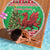 Wales Christmas Beach Blanket Welsh Dragon Nadolig Llawen - Wonder Print Shop