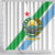 Djibouti Coat Of Arms Shower Curtain With Flag Style