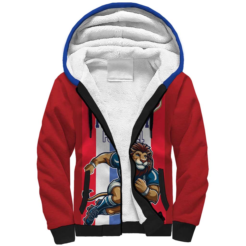 Custom Norway Football Sherpa Hoodie The Lions Champion 2024 - Wonder Print Shop