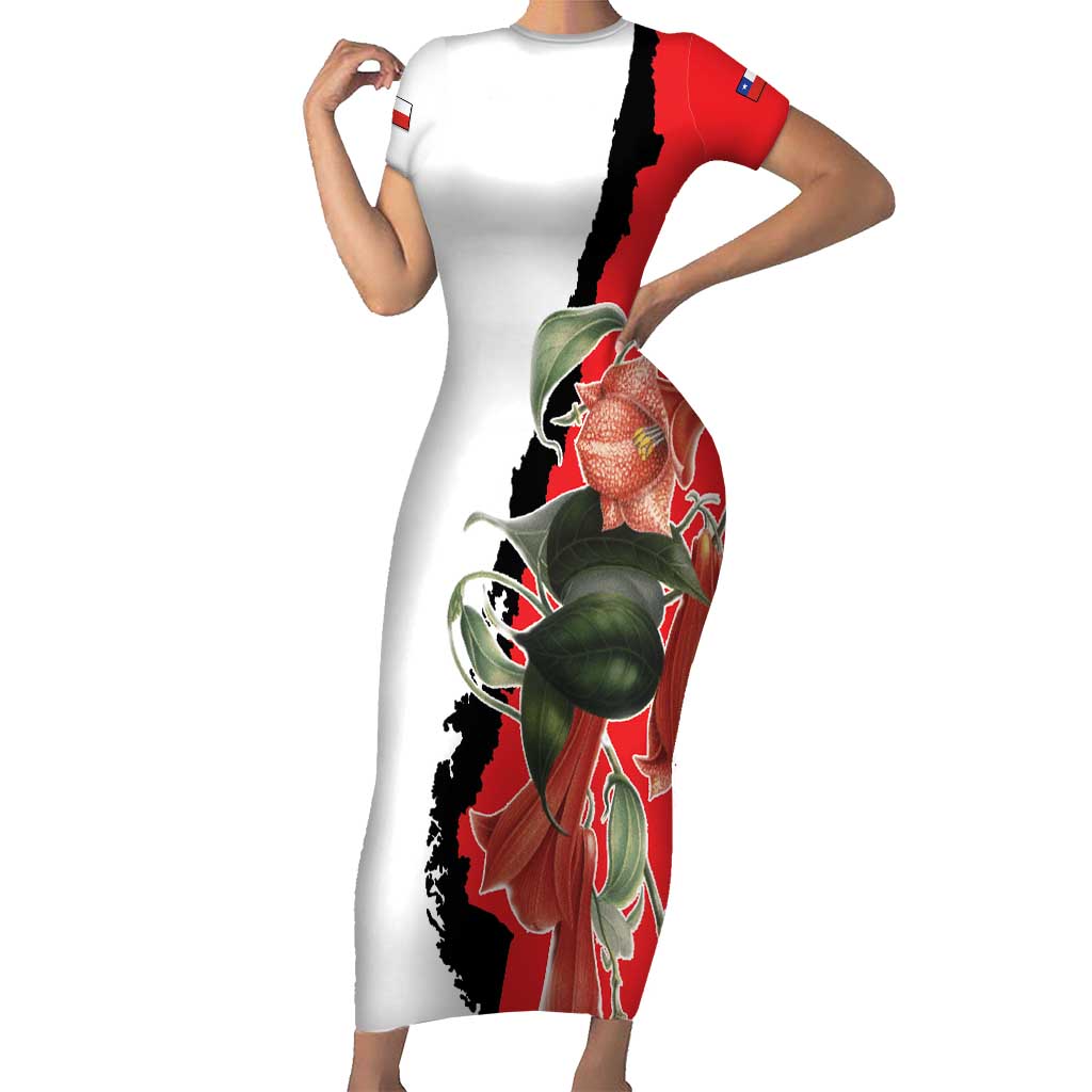 Chile Lapageria Rosea Short Sleeve Bodycon Dress With Flag Color - Wonder Print Shop