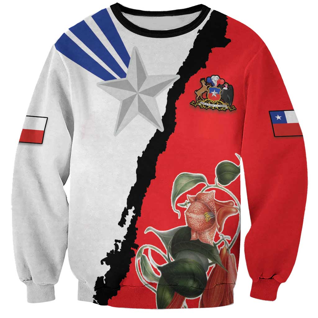 Red, white and black sweatshirt with blue stripes, star graphic, and Chile flag sleeve patches