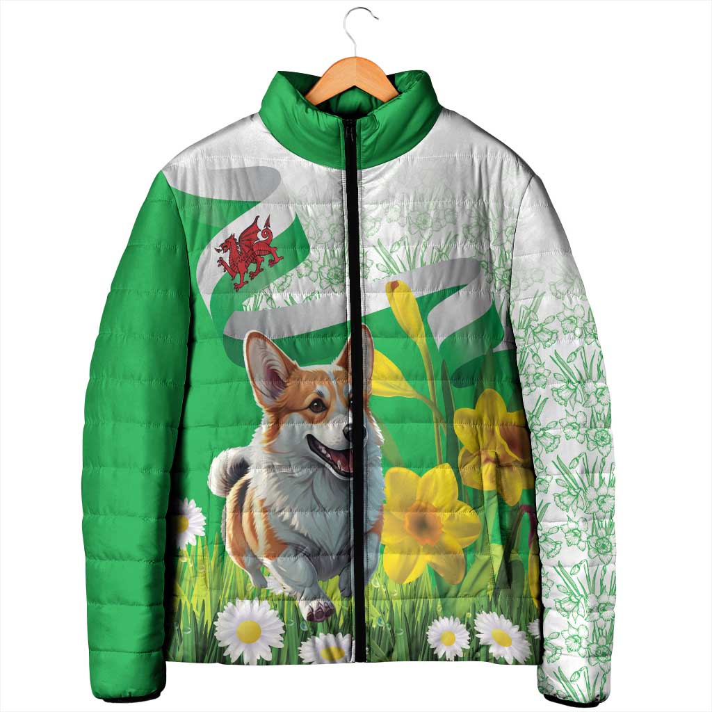 Wales Corgi Daffodil Padded Jacket Playful Welsh Dog - Wonder Print Shop