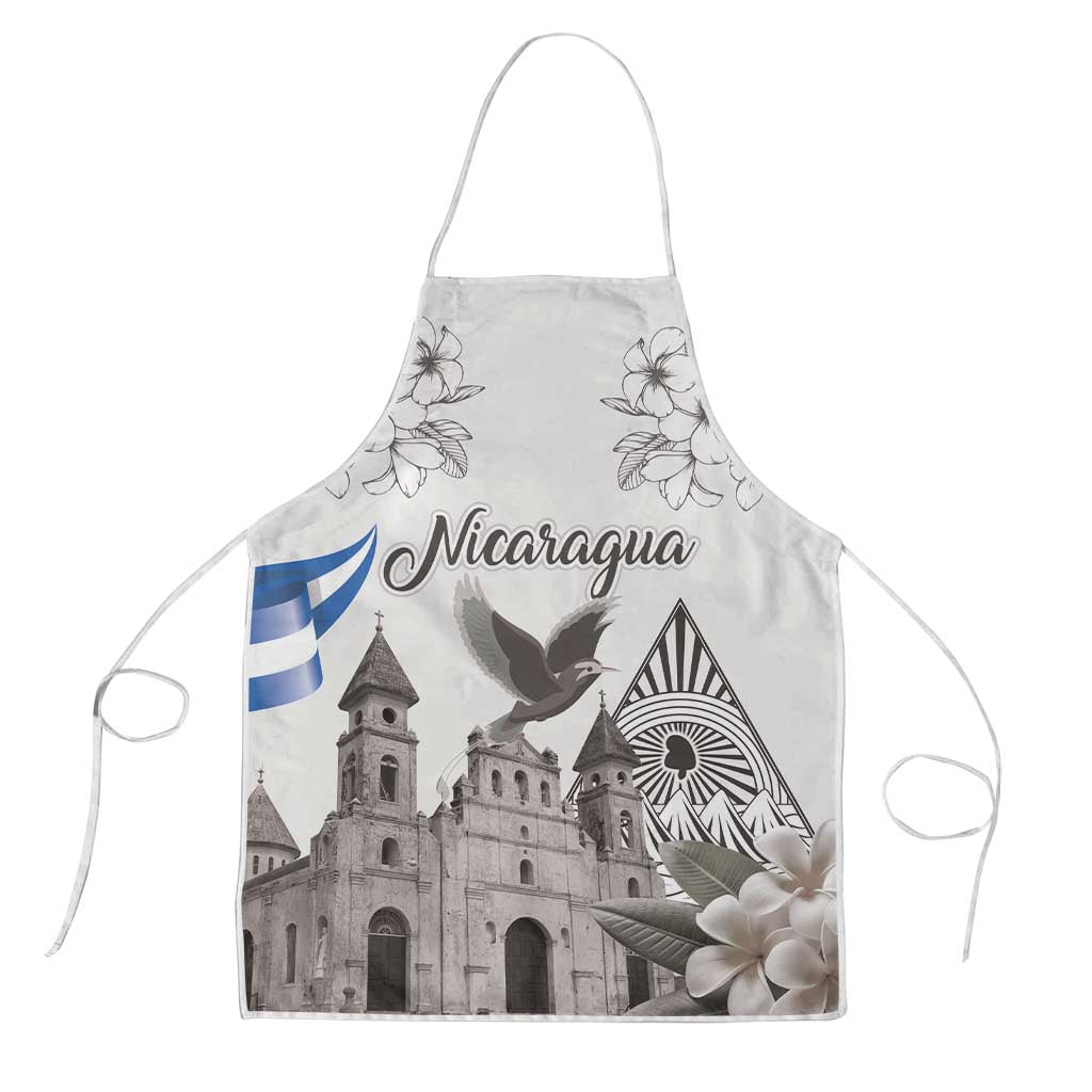 Nicaragua Leon Cathedral Apron Motmot with Plumeria Style - Wonder Print Shop