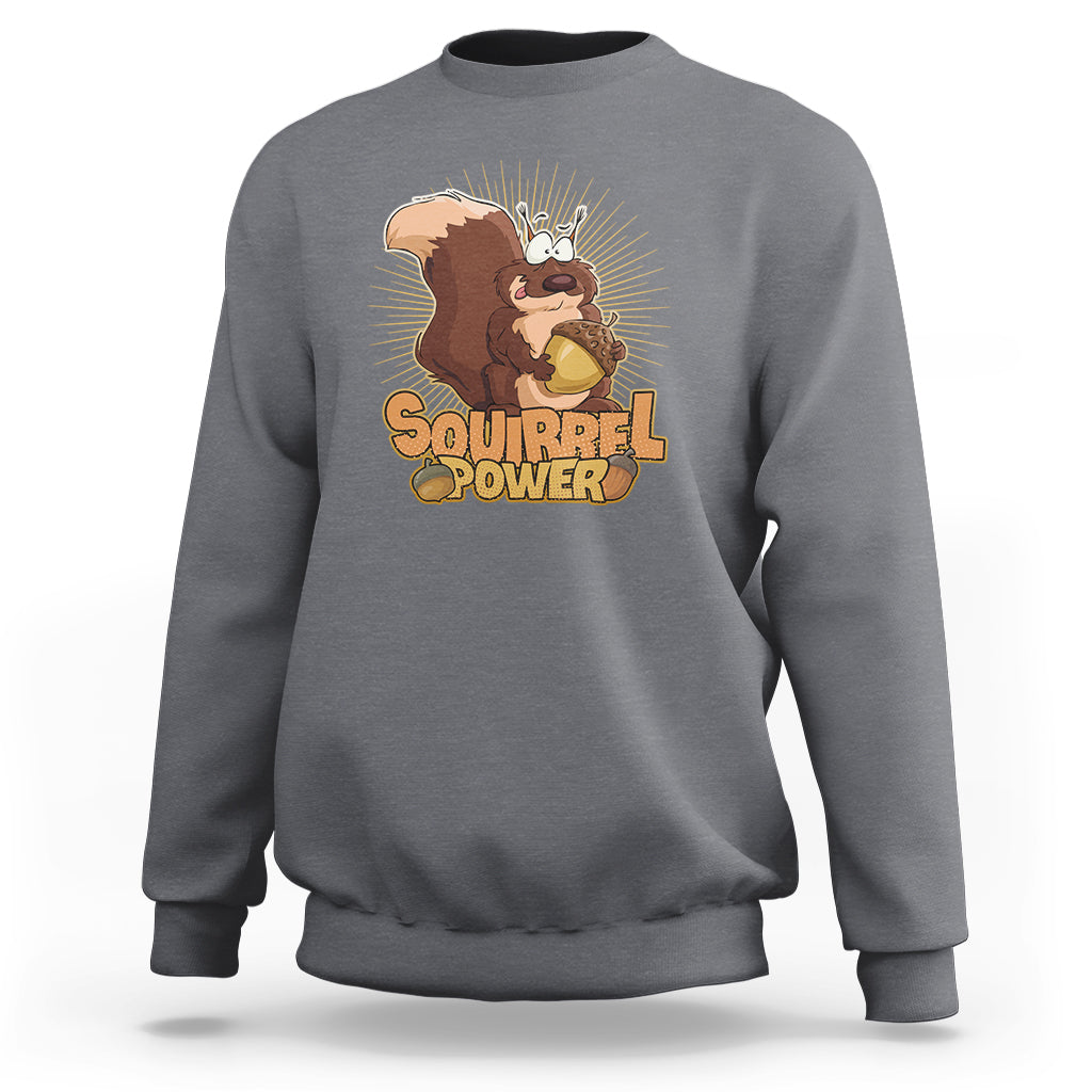 Charcoal gray sweatshirt with 'Squirrel Power' squirrel graphic, crew neck, long sleeves.