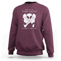 Maroon crewneck sweatshirt with alien face graphic and “I’m really an alien” print.
