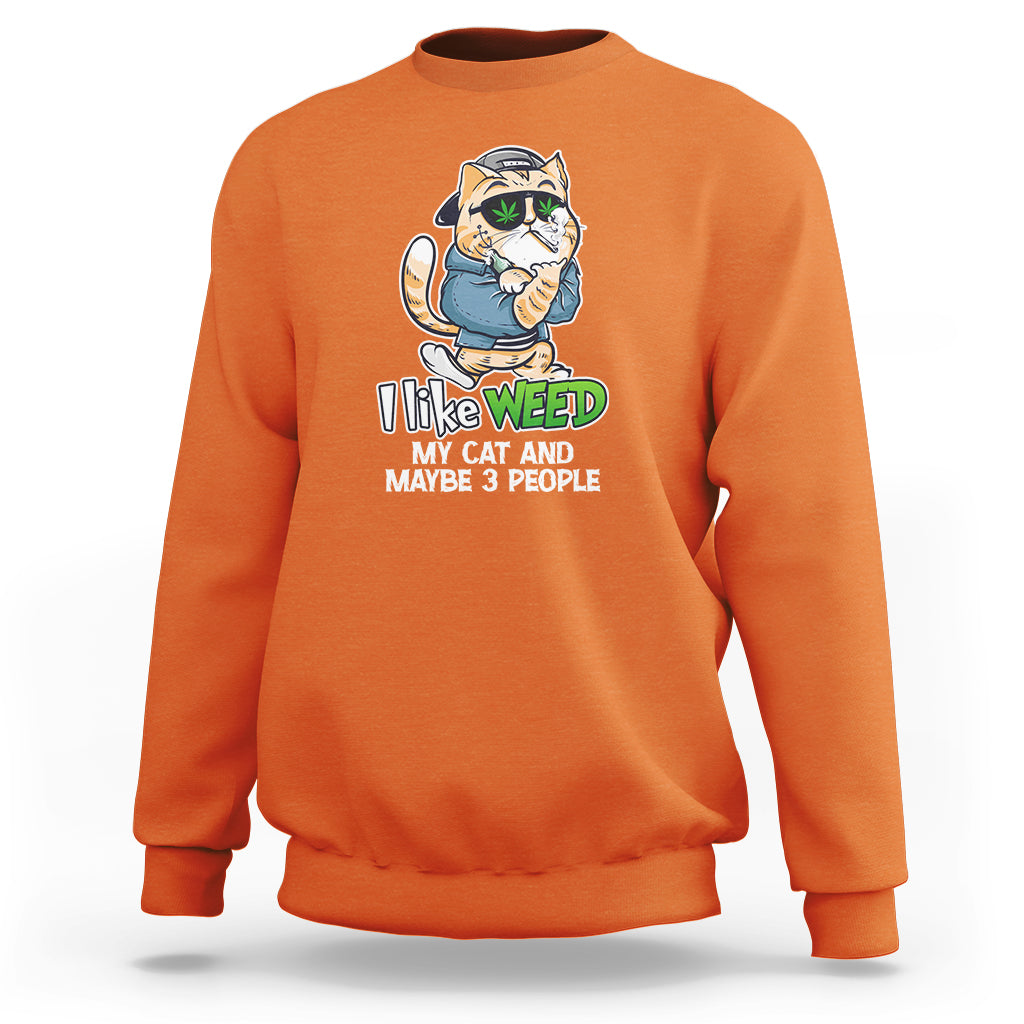Orange sweatshirt with cat holding a green leaf and “I Like Weed” front print