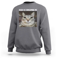 Charcoal crewneck sweatshirt with cat graphic and 'RAGE IS CONSUMING ME' text on chest.