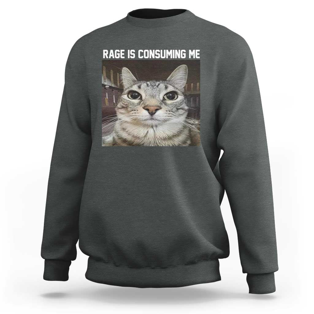 Dark heather crewneck sweatshirt with cat graphic and 'RAGE IS CONSUMING ME' text on chest.