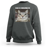 Dark heather crewneck sweatshirt with cat graphic and 'RAGE IS CONSUMING ME' text on chest.