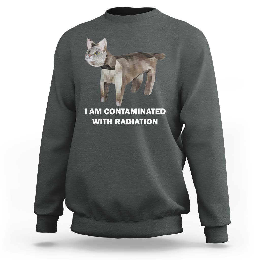 Funny cat meme sweatshirt charcoal with cat graphic and 'CONTAMINATED WITH RADIATION'