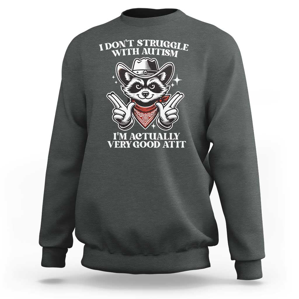Funny Autistic Raccoon Sweatshirt I Don't Struggle With Autism