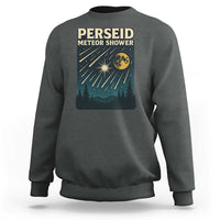 Vintage Perseid Meteor Shower Observer Sweatshirt Retro Celestial Stargazing Graphic