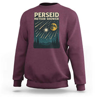Vintage Perseid Meteor Shower Observer Sweatshirt Retro Celestial Stargazing Graphic