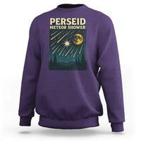 Vintage Perseid Meteor Shower Observer Sweatshirt Retro Celestial Stargazing Graphic